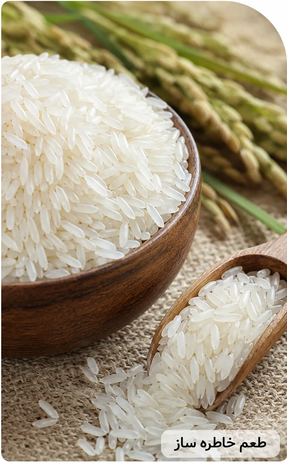 بنر فروشگاه